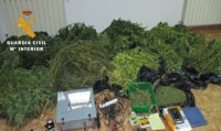 Detenidos dos vecinos de Ossa de Montiel e investigado un tercero por cultivar marihuana