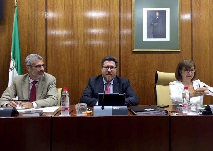 Rodrigo Sánchez Haro, en comisión parlamentaria.