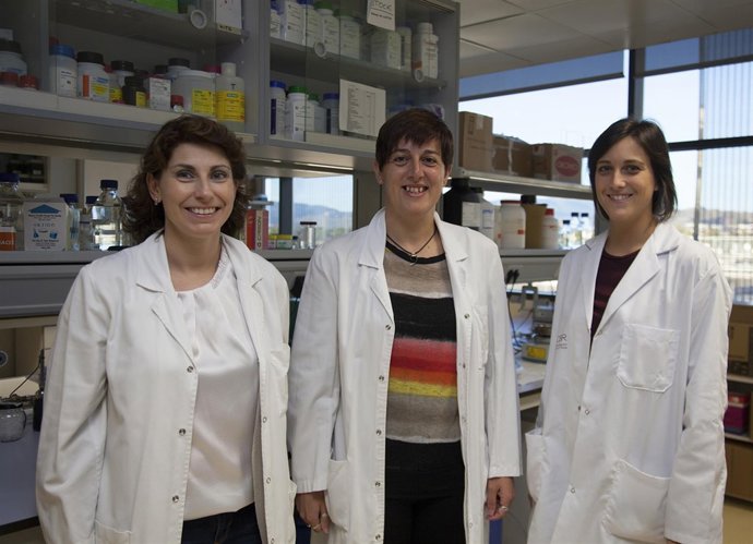 Proyecto 'Plasformers'