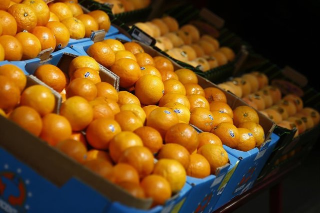 Frutería, trabajador autónomo