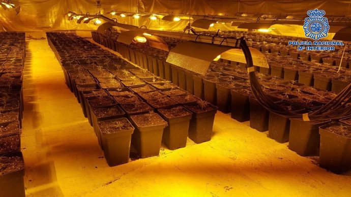 Policía Nacional De Talavera De La Reina Detenida Una Persona Que Que Estaban Cu