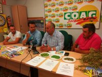 COAG-Jaén cifra entre un 20 y 30 por ciento las pérdidas por la sequía en la cosecha de aceituna