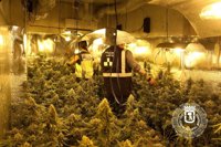 Descubierto un piso de Moratalaz con 112 plantas de marihuana