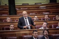 Igea (Cs) insta al Gobierno a revisar y actualizar el protocolo contra el maltrato para evitar casos como el de Sara