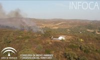 El incendio en El Ronquillo (Sevilla) sigue activo y las primeras pistas apuntan a que es intencionado