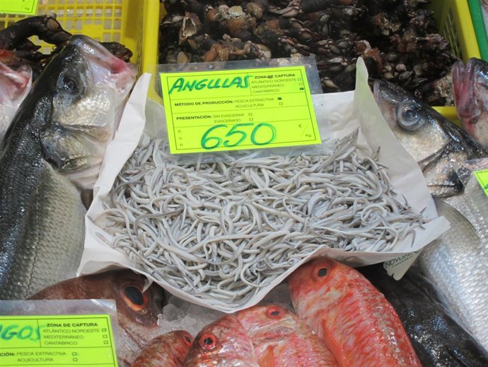 Angulas de pescadería