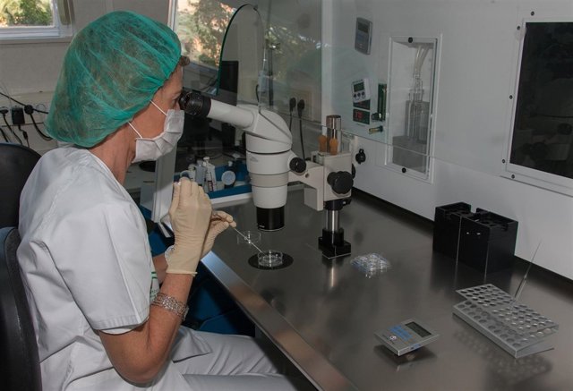 Nace en Andalucía el tercer bebé que permitirá salvar a su hermano de enfermedad