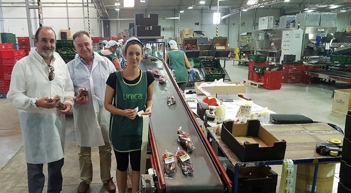 El delegado de Agricultura visita la cooperativa Casur