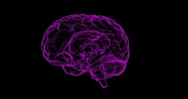 Foto: Investigadores identifican un nuevo mecanismo en la enfermedad de Alzheimer (PIXABAY) 