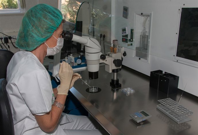 Neix a Andalusia el tercer bebè que permetrà salvar el seu germà de malaltia