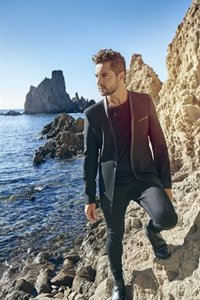 David Bisbal cierra su gira 'Hijos del mar' en Almería antes del salto a Latinoamérica