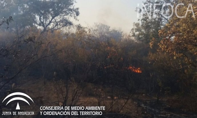 Incendio en El Ronquillo durante el jueves