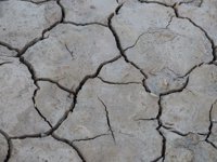 La incidencia del cambio climático en la agricultura, este martes en Olite en el seminario Klinadebates