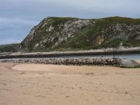 PP pide al Gobierno regional "soluciones a corto plazo" para garantizar la calidad de las aguas de baño en Suances