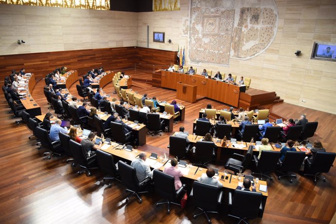 Pleno Asamblea