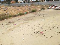 El PP de Alcalá de Guadaíra (Sevilla) pide "soluciones" para el "caos en el que se ha convertido el recinto ferial"