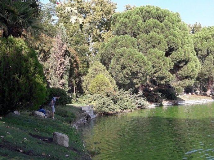 Lago de la Casa de Campo