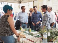 Maíllo (IU) insiste en reivindicar la "política" ante la situación de Cataluña y rechaza aplicar el artículo 155