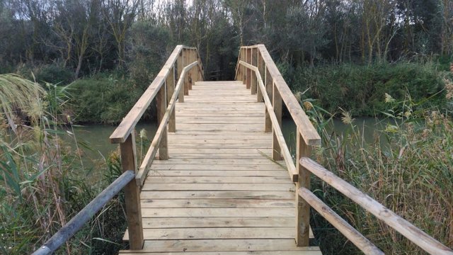 El Govern reemplaza los dos puentes de acceso a las casetas para avistar las aves del Cibollar de s'Albufera