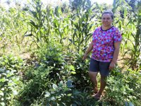 La mujer rural en Paraguay, discriminada pese a su doble tarea productiva y alimentaria