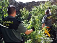 Detenido un vecino de Almería tras el hallazgo de diez plantas de marihuana en su cortijo