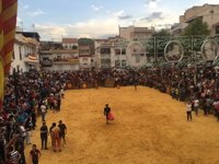 La Peza (Granada) celebra un año más sus encierros declarados de Interés Turístico en Andalucía