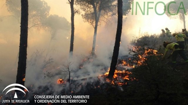 Incendio forestal en Moguer (Huelva)