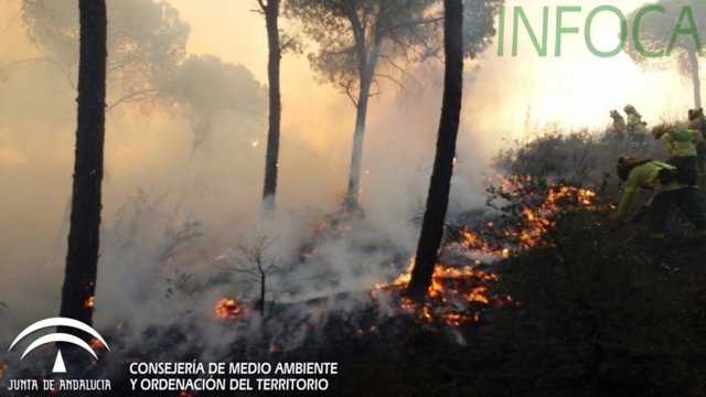 Incendio forestal en Moguer (Huelva)