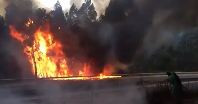 Incendio en Vincios, en Gondomar (Pontevedra)
