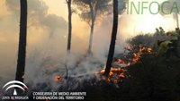 Extinguido el incendio forestal en el paraje Nazaret de Moguer (Huelva)