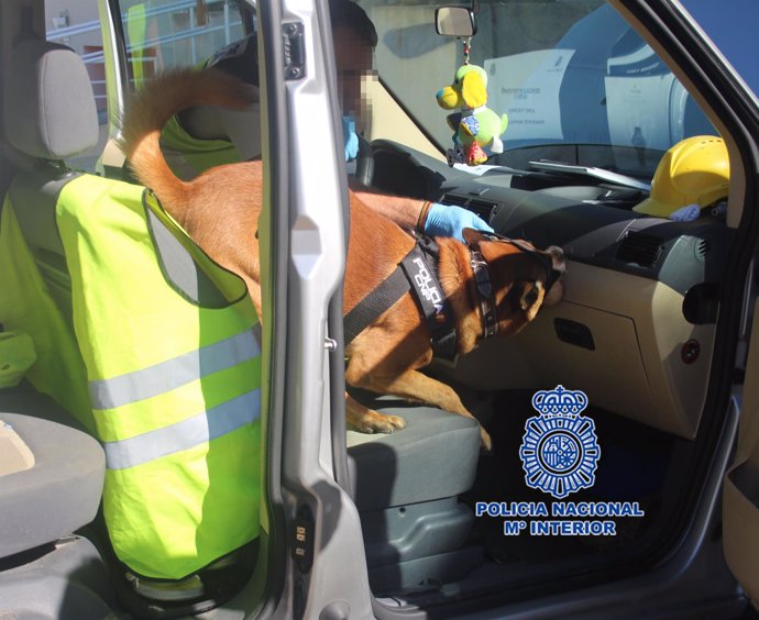 Un agente con el perro policía 