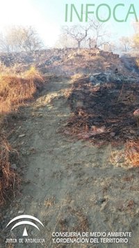 El incendio forestal de Válor afectó a 0,9 hectáreas de terreno agrícola
