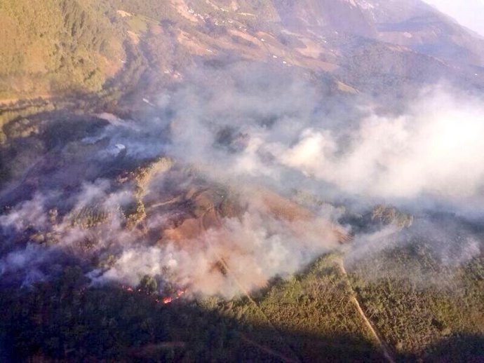 Incendi forestal a Ibias