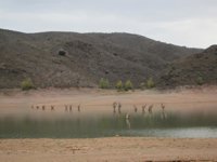 Entrepeñas y Buendía bajan 0,1 hectómetros la última semana y almacenan 233,86, el 9,45% de su capacidad