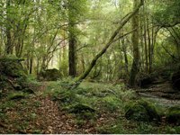 La sala Ondare acoge dos conferencias sobre el paisaje, dentro de las Jornadas Europeas del Patrimonio de Bizkaia