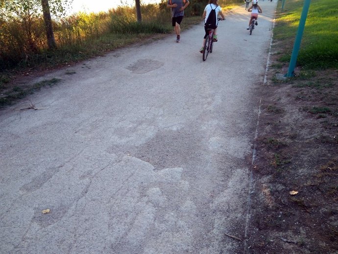 Baches en un camino de tierra en la ribera del Ebro