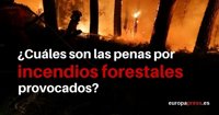 ¿Cuáles son las penas por incendios forestales provocados?