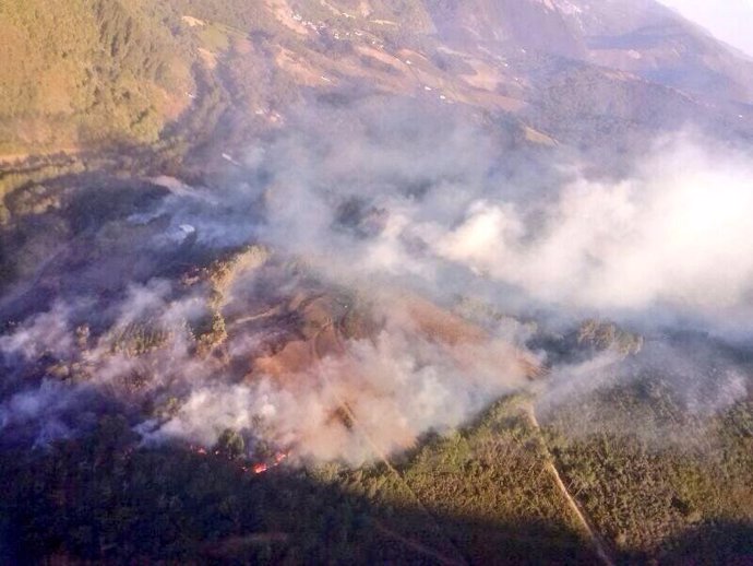 Incendio forestal en Ibias