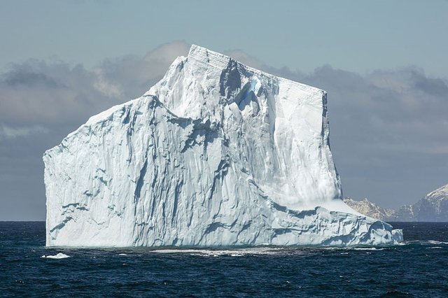 Iceberg