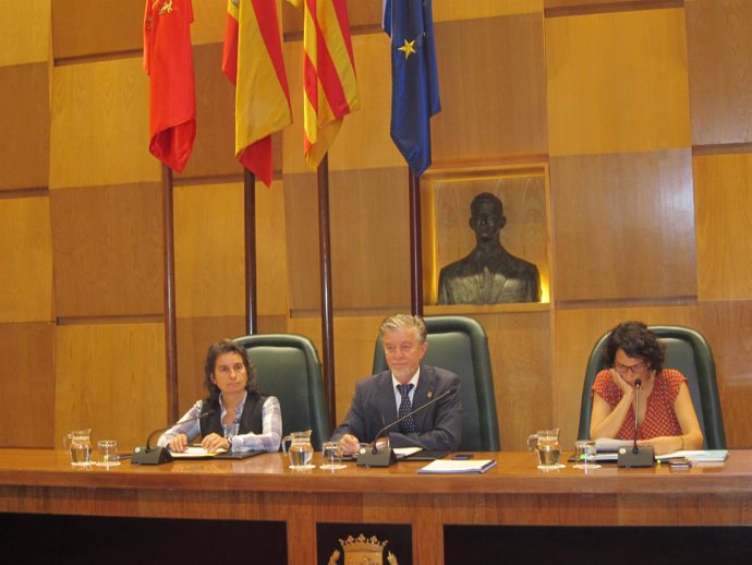                    Pleno Del Ayuntamiento De Zaragoza            