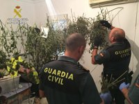 Ocho detenidos y siete investigados en operaciones contra el tráfico de drogas en la provincia de Huelva