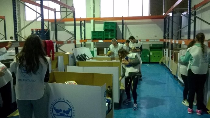 Voluntarios del Banco de Alimentos de Jaén clasifican productos donados.