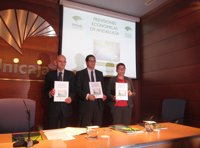 Analistas Económicos prevé un crecimiento de la economía andaluza para 2018 del 2,7% y estima una tasa de paro del 24%