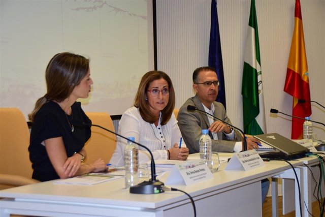 Nota Y Fotos/ La Junta Celebra Una Jornada De Análisis Sobre La “Estrategia De P