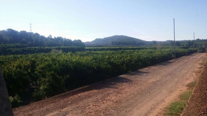 Terrenos PAI Porxinos