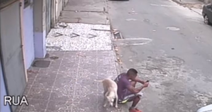Perro callejero orina en la espalda de un hombre y acaba por adoptarlo