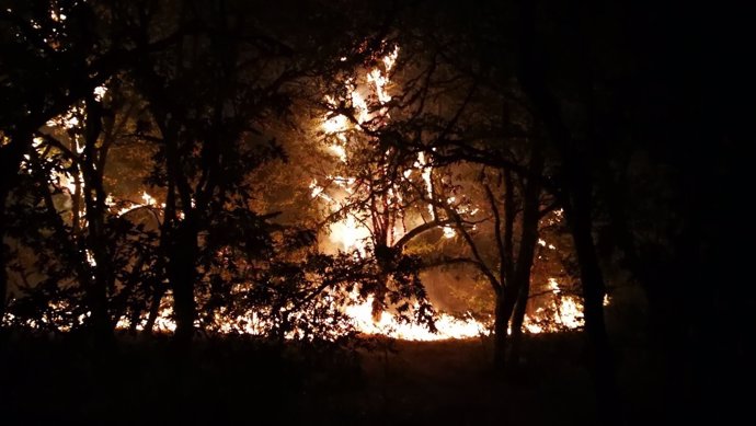 Incendio en Serra de San Madede (Ourense)