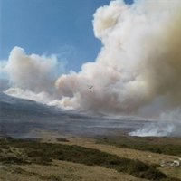 Sofocados todos los fuegos forestales en Cantabria salvo un foco en Pesaguero