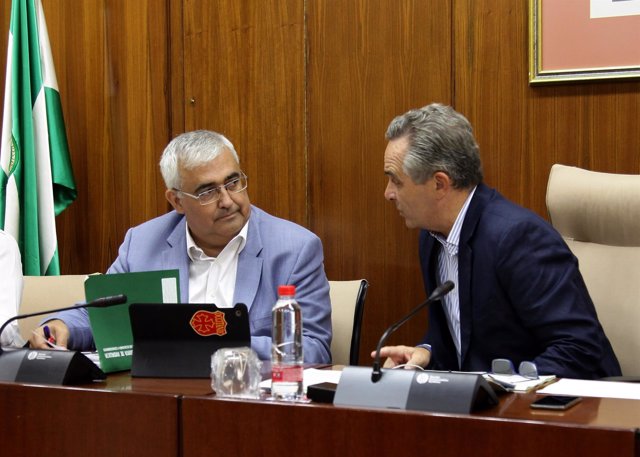 El consejero de Economía Antonio Ramírez de Arellano en comisión en Parlamento