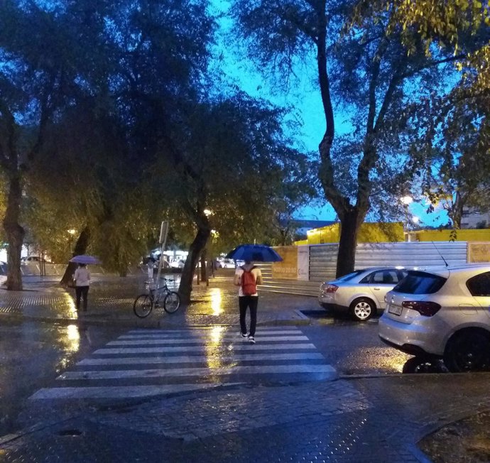 La lluvia ha caído intensamente en diversos puntos de Sevilla